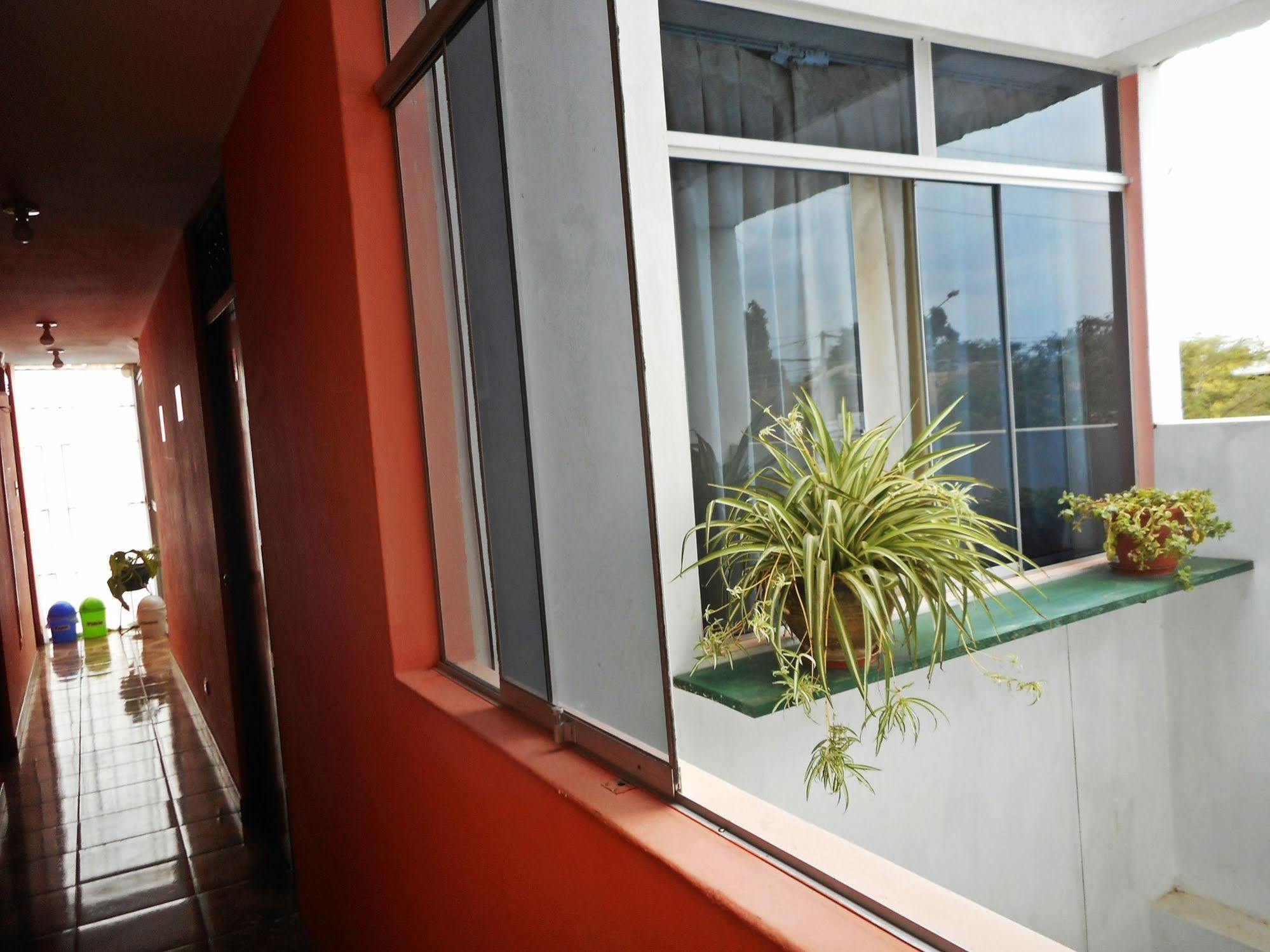 Hostal Geminis San Juan Bautista Экстерьер фото